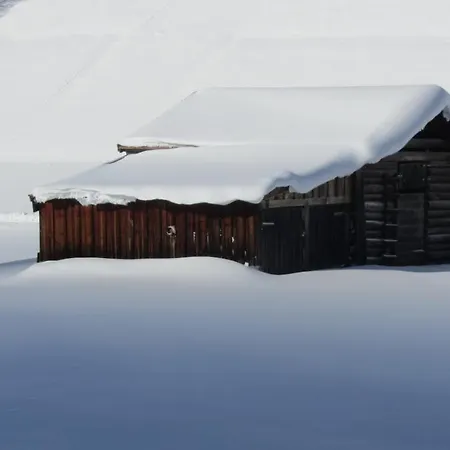 Apartment Stella Alpina